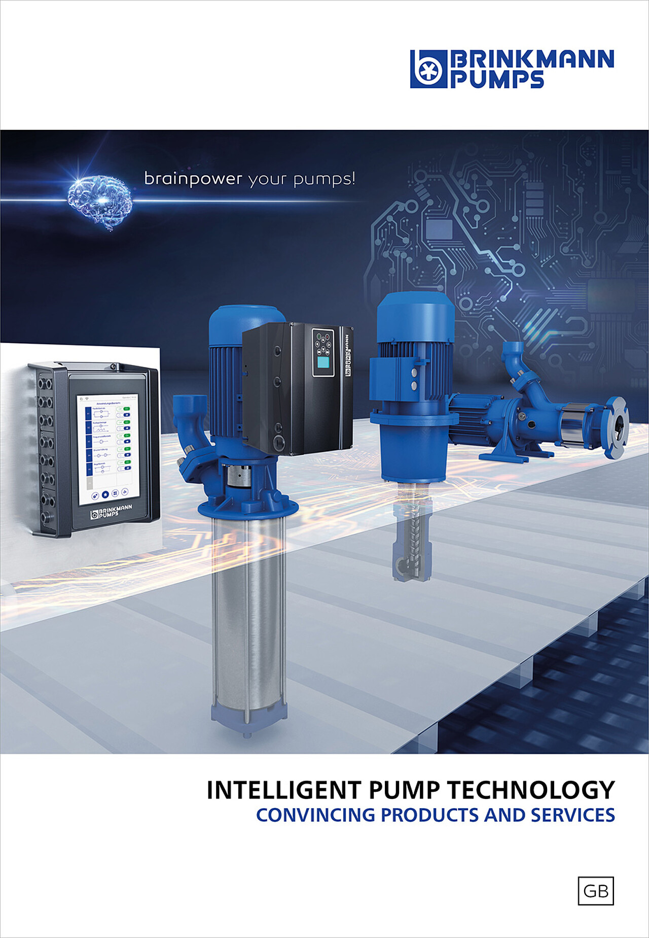 Summary Brinkmann Pumps