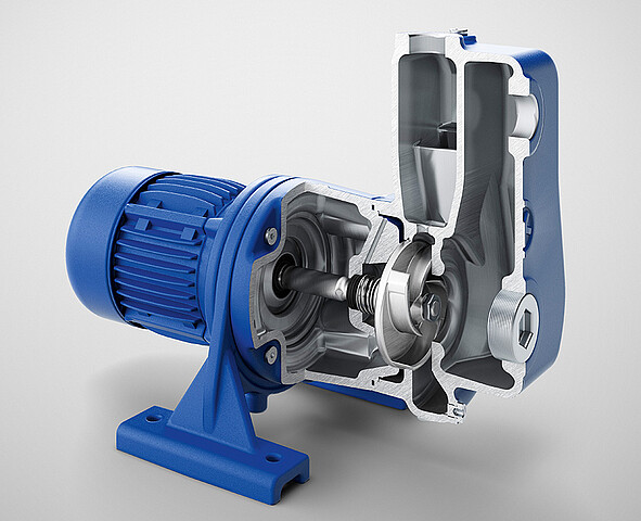 Selbstansaugende Blockpumpe Brinkmann Pumps