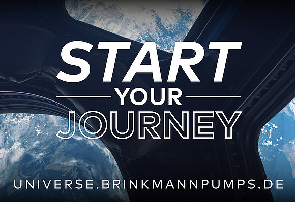 Brinkmann Pumps Universe